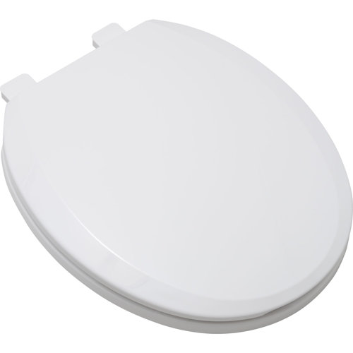 Proflo Round Toilet Seat and Lid Wayfair